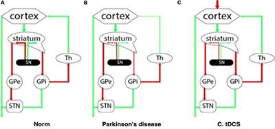 Transcranial Current Stimulation as a Tool of Neuromodulation of Cognitive Functions in Parkinson’s Disease